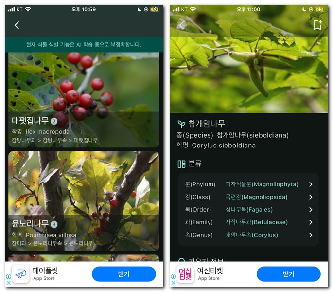 식물도감 어플로 이름 알아보기