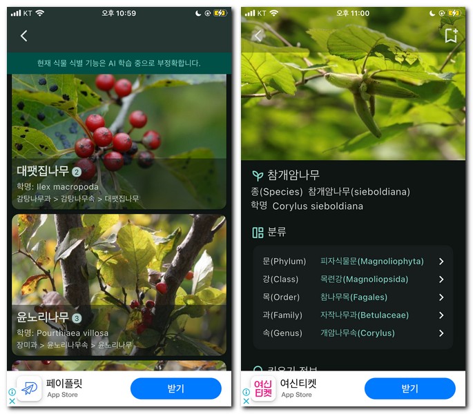 식물도감 어플로 이름 알아보기