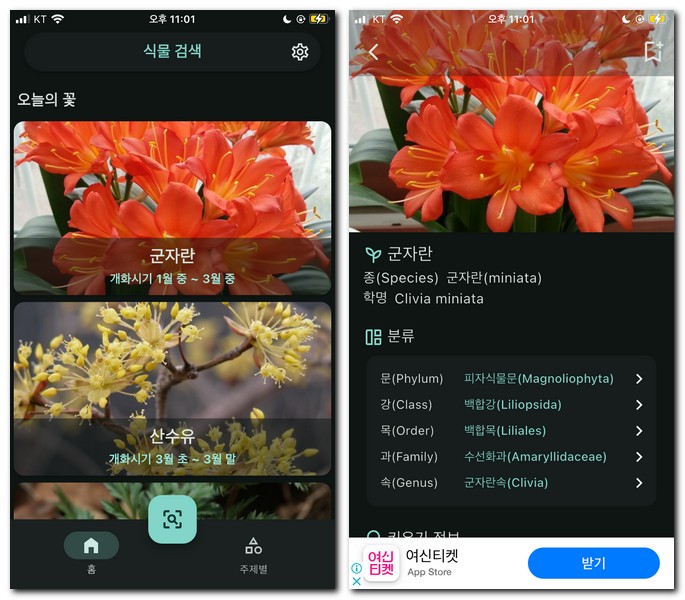 식물도감 어플로 이름 알아보기