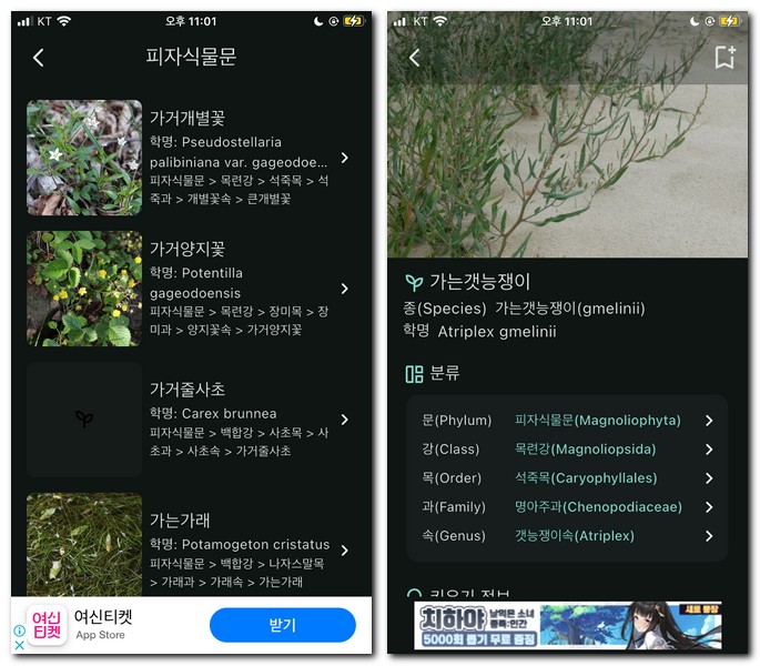 식물도감 어플로 이름 알아보기